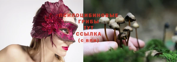 твердый Алексин