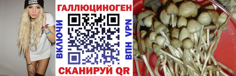 Псилоцибиновые грибы мухоморы  Апшеронск 